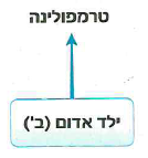 (בספר שלושה איורים, היעזר במנחה)